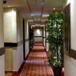 Hayah Plaza Hotel